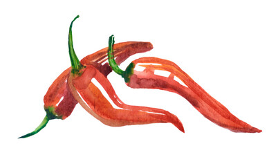watercolor red long pepper path isolated on white