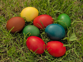 Colorful Easter eggs standing in natural grass, close up