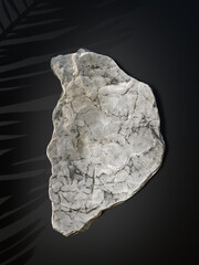 Blank product podium, stand. Copy space for cosmetic Product and Package Presentation. Abstract background Scene. 3d rendering