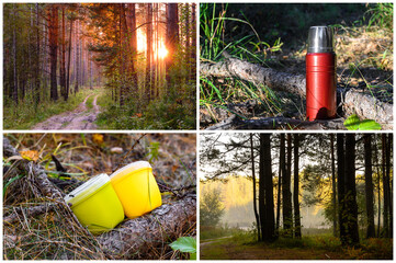 Forest camping. Hiking in nature. Picnic in the woods. Photo collage with forest evening landscapes and camping utensils.