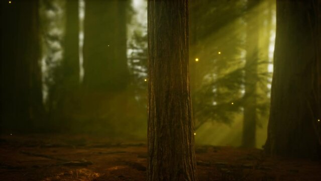 firefly in misty forest with fog
