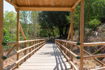 wooden bridge in spring