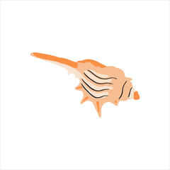 Sea underwater shell with spikes. Seashell, undersea mollusc. Twisted spiral conch, shellfish. Marine mollusk. Flat vector illustration isolated on white background