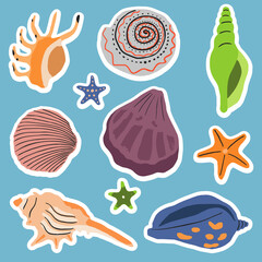 Stickers collection with sea underwater shells. Seashells, undersea molluscs. Marine mollusks. Flat vector design