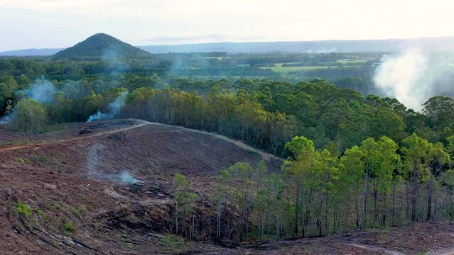 Aerial view of a deforestation in Sunshine Coast Hinterland, Queensland, Australia.
