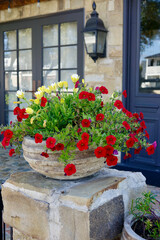 red and yellow flowers in a container near the front door of a European villa