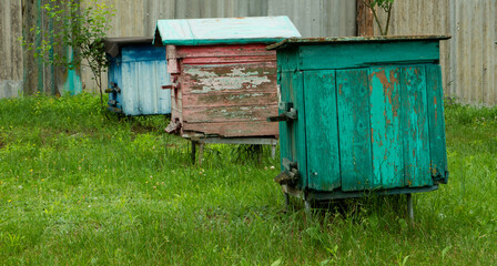 Three old bee hives on green grass.