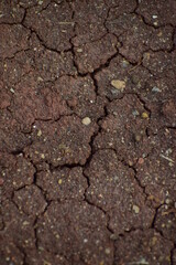 cracked soil texture