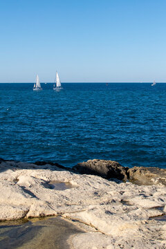 sailboat in the sea