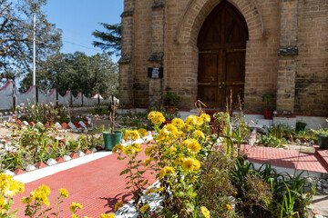 Fototapeta na wymiar Ancient and old St.Mary church surrounded by dense cedar forest with a garden full of yellow flowers. Captured in lansdowne, a small hill station and tourist attraction in Uttarakhand Himalayas.