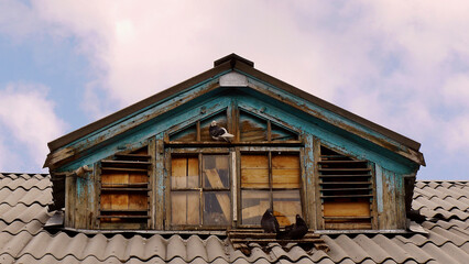 Attic with pigeons of an old abandoned house in the village.