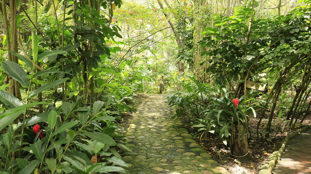 Parque El Gallineral en San Gil, Santander, Colombia y un camino de piedra