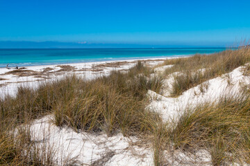 Fototapeta na wymiar Mediterranean scrub on the dunes of a paradisiacal white beach
