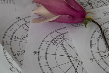 Printed astrology charts and a magnolia flower in the background