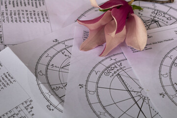 Printed astrology charts and a magnolia flower in the background