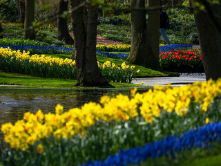 Obraz premium Springtime in the park
