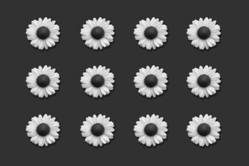 Floral pattern of daisies isolated on dark grey background. Black and white image