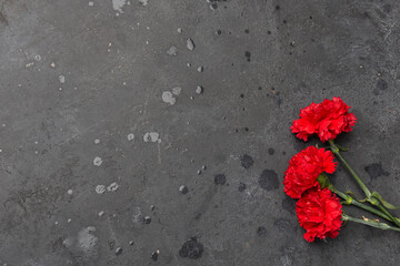 9 May holiday concept. Carnation flowers, with red ribbon on dark background. symbol of Victory Day 1945. Copy space