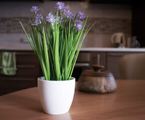 Flowerpot with plant kitchen interior