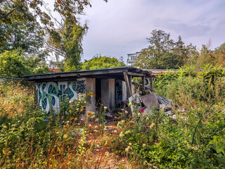 Fototapete bei efototapeten.de bestellen   