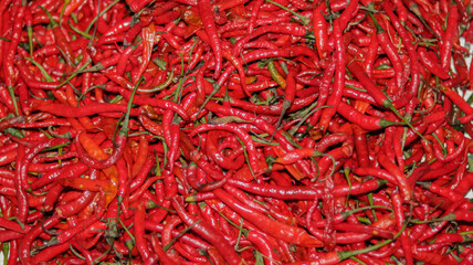 Fototapeta premium Red chili peppers close up - red chili in the supermarket