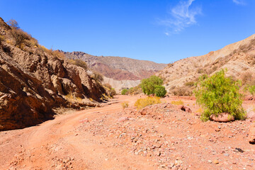 Bolivian canyon near Tupiza,Bolivia