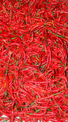 Naklejka premium Red chili peppers close up - red chili in the supermarket
