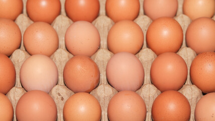 Brown eggs in an egg box - Chicken eggs in box