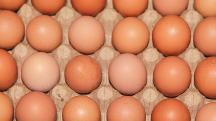 Fresh chicken egg on trays for sale at a supermarket