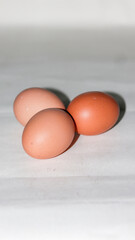 Fresh chicken egg on trays for sale at a supermarket