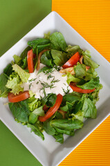 Green vegan summer lettuce with spinach, by tomatoes and sour cream. Healthy food concept.