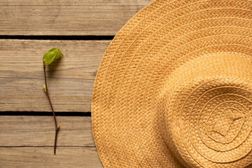 Women's straw hat and a branch from a tree with green leaves lie on a wooden table ,summer ,women's fashion accessories - Powered by Adobe