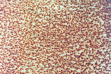 Texture. Yellow metal with rust blotches and brown streaks