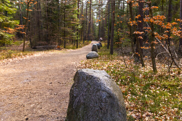 Path through Beech Mountain Reserve - in polish Bukowa Gora - in Zwierzyniec, Roztochia region in Poland.