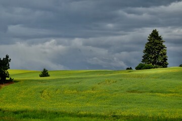 stormy field