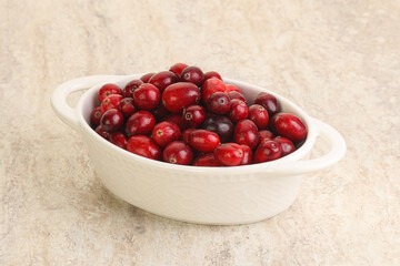 Ripe sweet tasty cranberry in the bowl