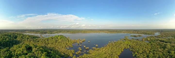 Foto op Plexiglas Amazonian national reserve Cuyabeno in Ecuador, wetland with lakes and ponds, river with piranas, dolphins, caymans, snakes and birds, aerial landscape view, green forest © phototrip.cz