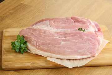 Piece of the raw pork meat
