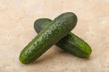 Ripe organic natural green cucumber