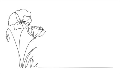 Poppy flowers in continuous line art drawing style. Minimalist black linear design isolated on white background. Vector illustration - obrazy, fototapety, plakaty