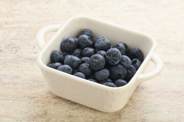 Sweet ripe blueberry heap in the bowl