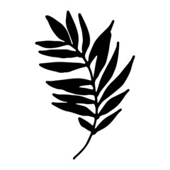 the tropical leaf icon. a leaf with individual sharp long leaves, hand-drawn in sketch style on white.Vector isolated silhouette of a black plant leaf for a design template