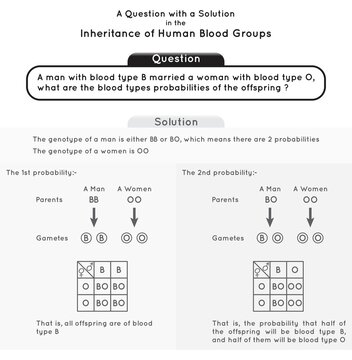 Question and Solution Inheritance of Human Blood Group Infographic Diagram genotype phenotype man women probabilities gamete offspring blood type heredity genetic science education gene biology vector
