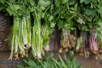 Fresh bio vegetables and herbs at the morning street farmer market. Local weekend agricultural fair. Sale of organic vegetables - bunches of coriander, spicy greens. Top view. 