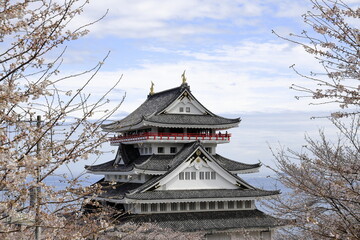 熱海城と桜 (静岡 熱海)
