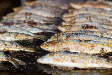 grilled sardines, traditional mediterranean food, selective focus