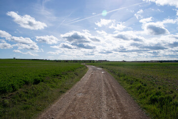 Naklejka premium Paisaje de campos de cultivo con camino.