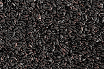 Texture of black worshipped rice grains