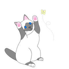 A playing birman cat and flying yellow butterfly with white background