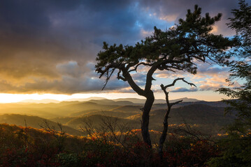 Golden light spilling out across an autumn landscape in the Blue Ridge mountains of North Carolina